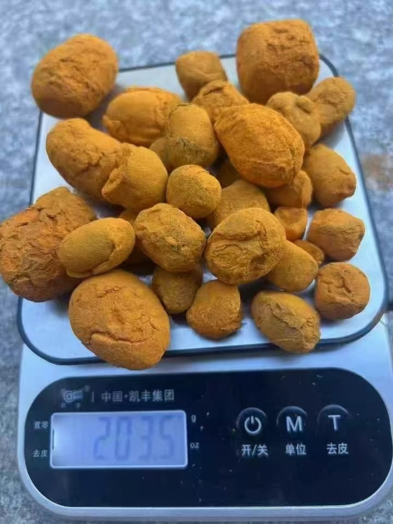 牛黄