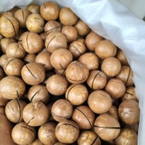夏威夷果电商货一件代发现货