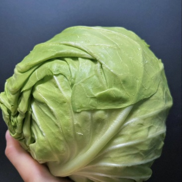 甘蓝大规模种植基地，各类蔬菜齐全，一手货源，品质保证