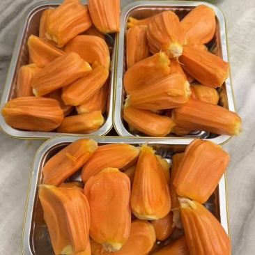 【玫瑰红菠萝蜜产地直供】印尼红菠萝蜜一手货源质量保证价格