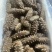 鲜食口感工厂直销长年批发供应电商团购餐饮批发商