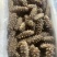 鲜食口感工厂直销长年批发供应电商团购餐饮批发商