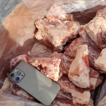 S骨满都是肉