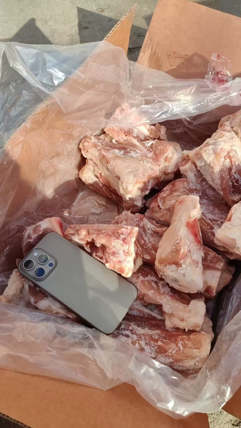 S骨满都是肉