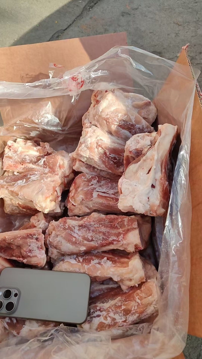 S骨满都是肉