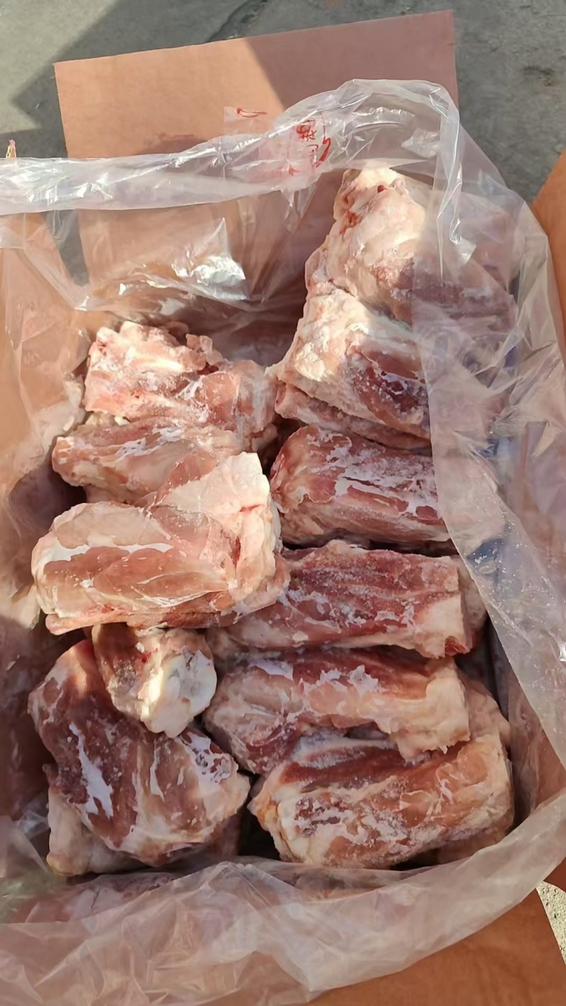 S骨满都是肉