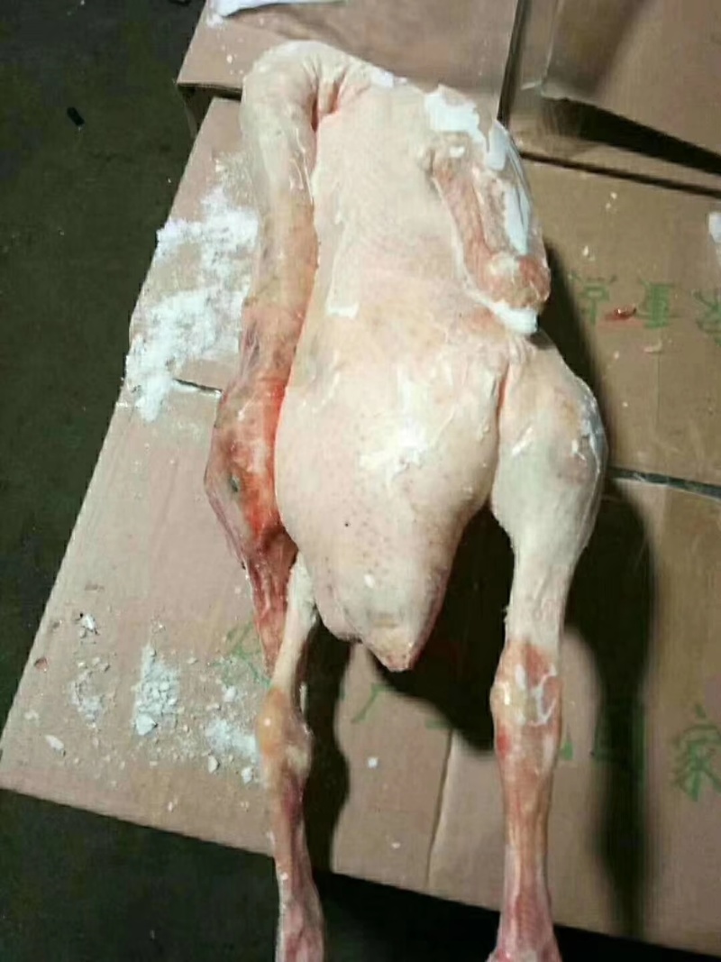 鹅鹅鹅！新到大鹅！老鹅！非常实惠！**日期！现场实拍！