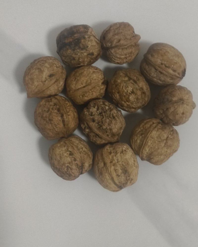 老裕沟核桃
