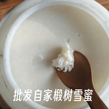 东北野生椴树雪蜜，年前大桶批发，价格优惠多多