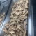 盐水鸭单只2斤，可批发，代发