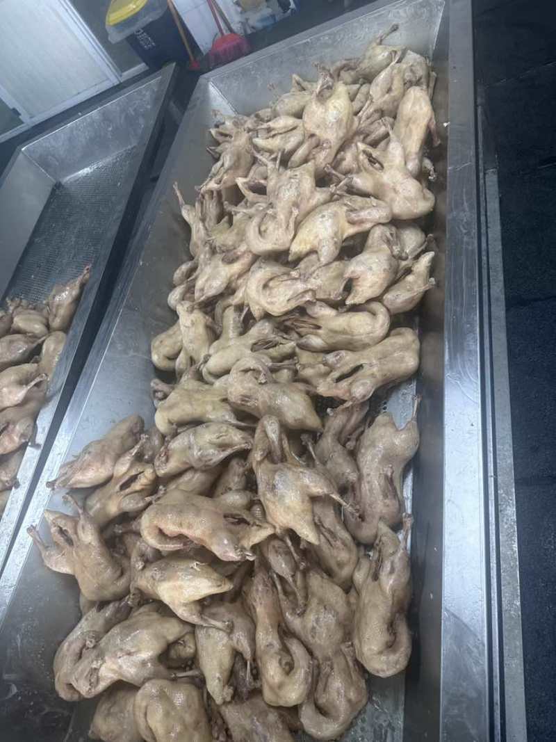 盐水鸭单只2斤，可批发，代发