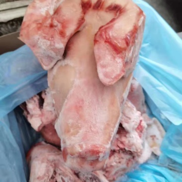 带耳生猪头腾惠更多客户的选择