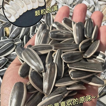 原味瓜子，通货