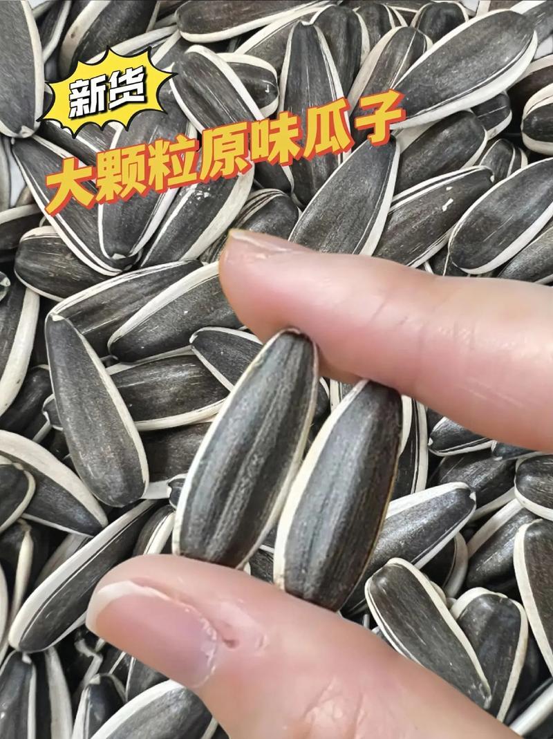 原味瓜子，通货