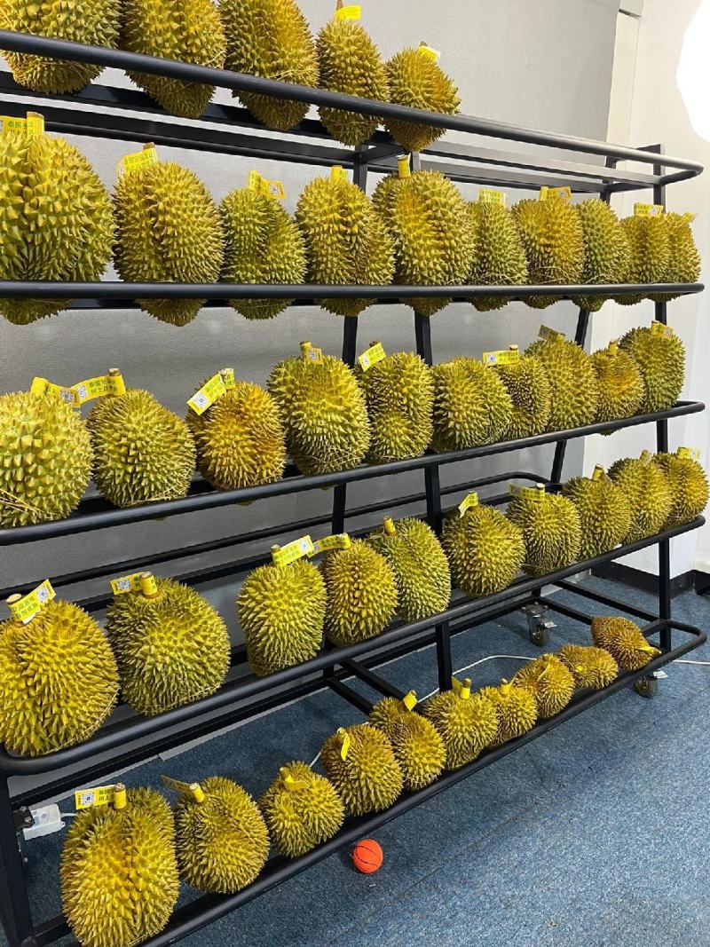 好货源榴莲
