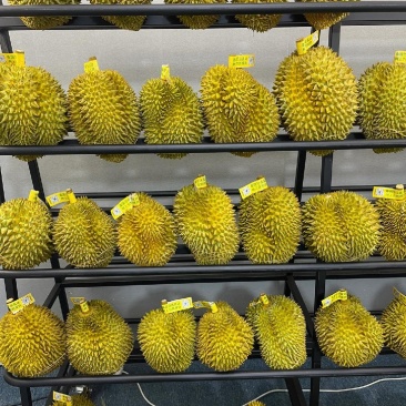 好货源榴莲