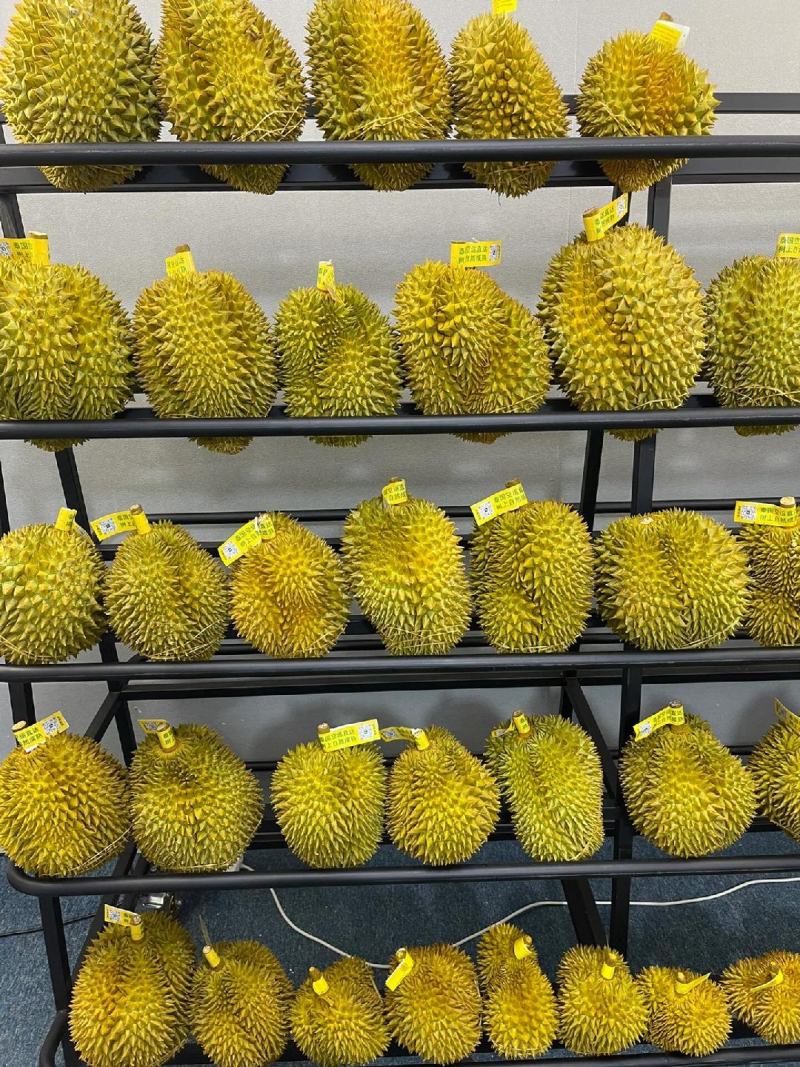 好货源榴莲