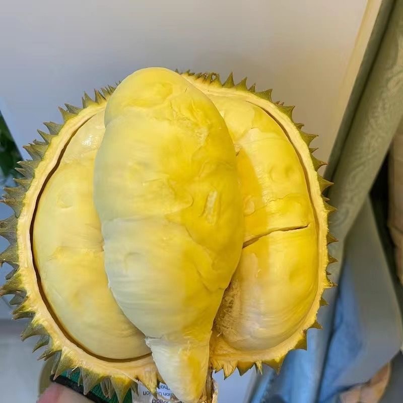 好货源榴莲