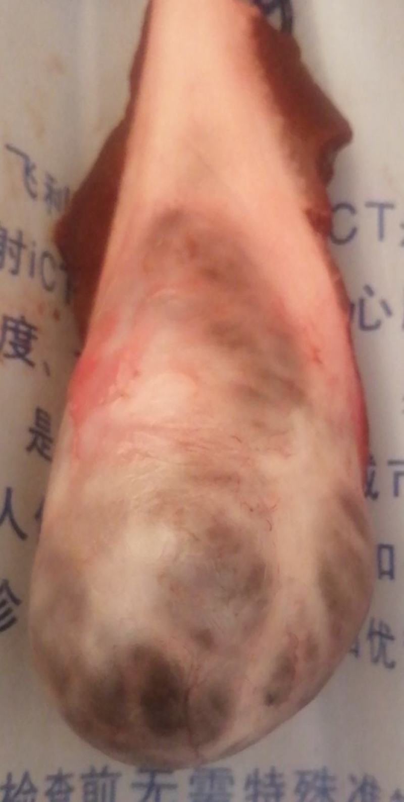新鲜猪砂