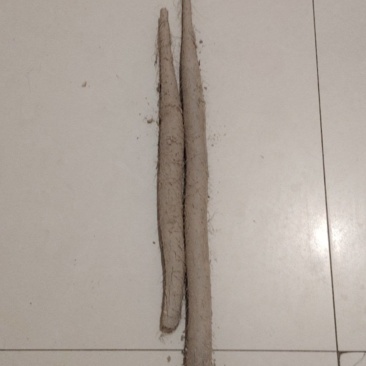 出售麻山药