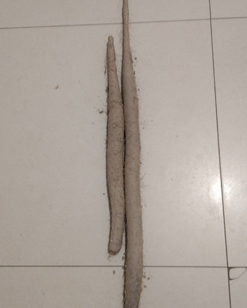 出售麻山药
