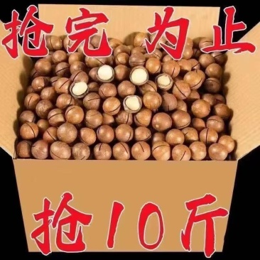 夏威夷果电商通货22-256元一斤大量现货支持一件代发