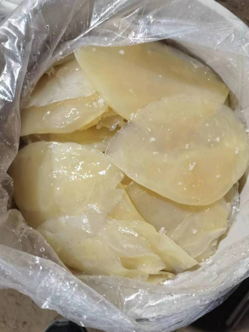 各种海蛰齐全