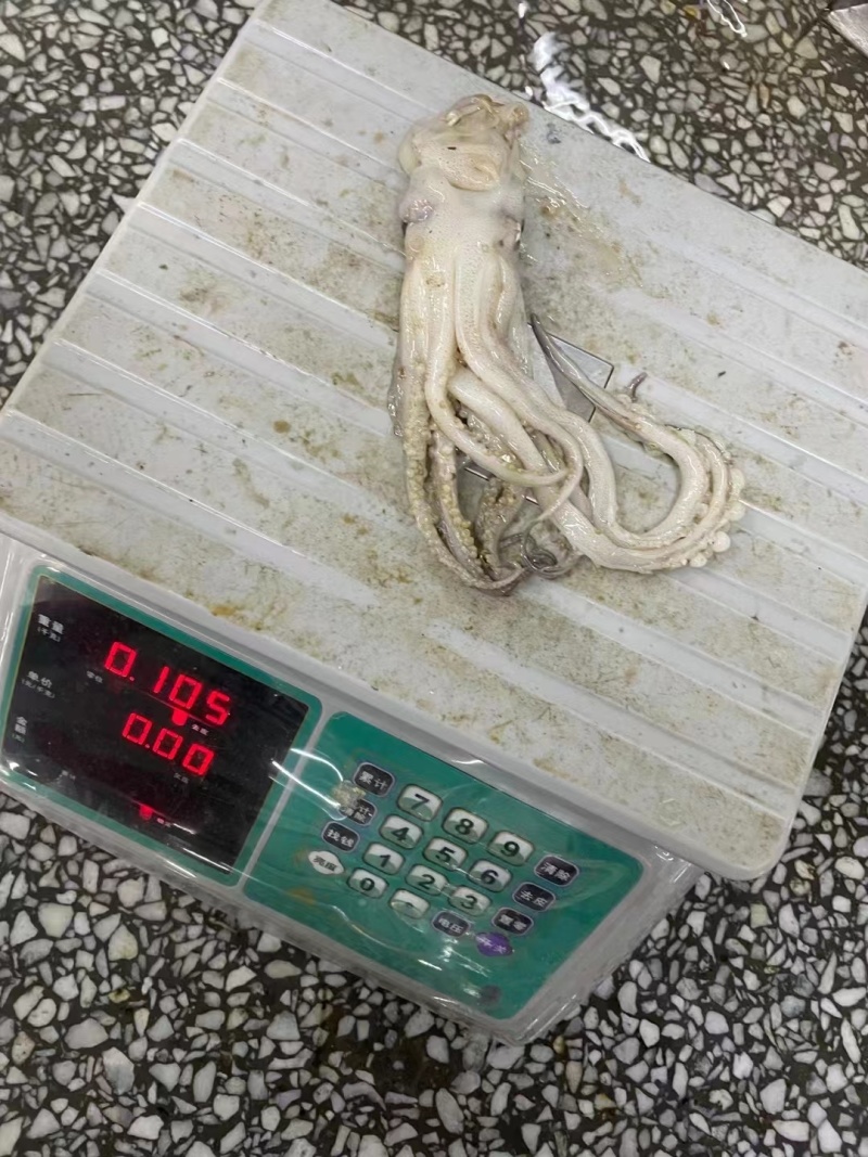 海鲜