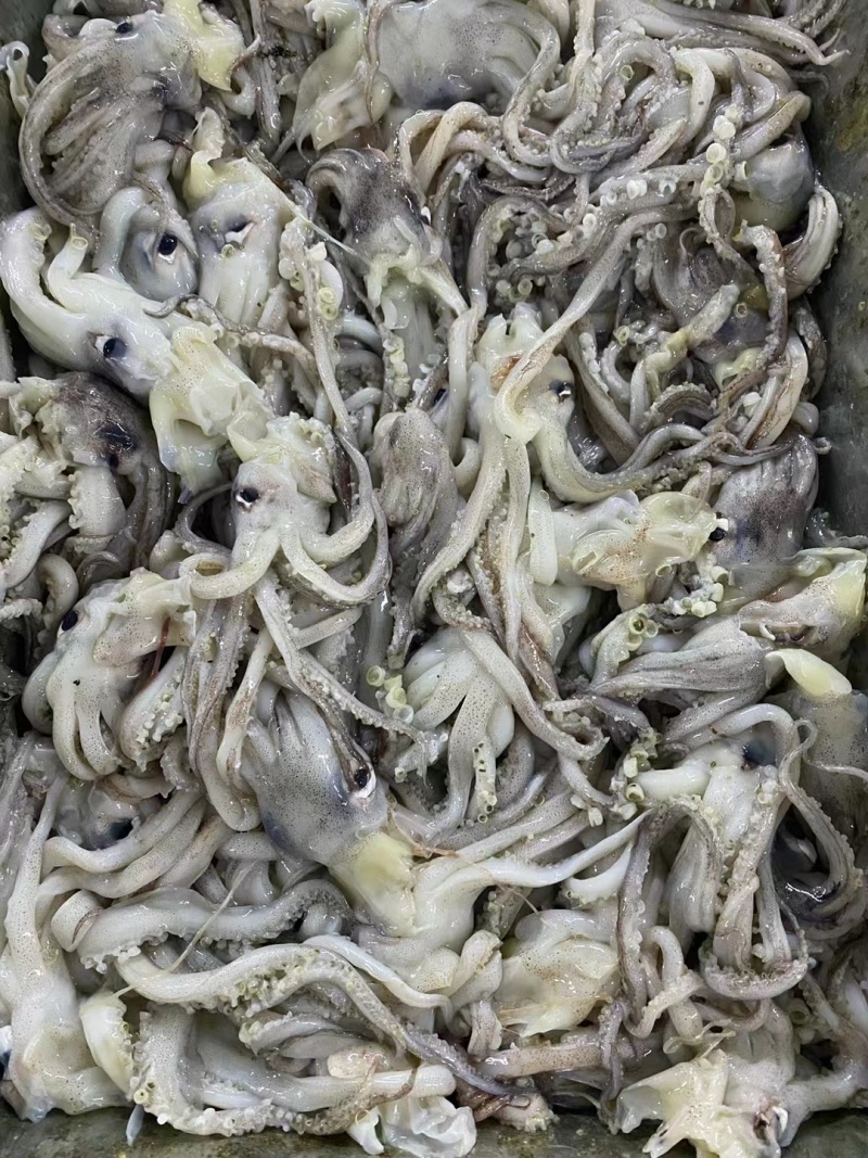 海鲜