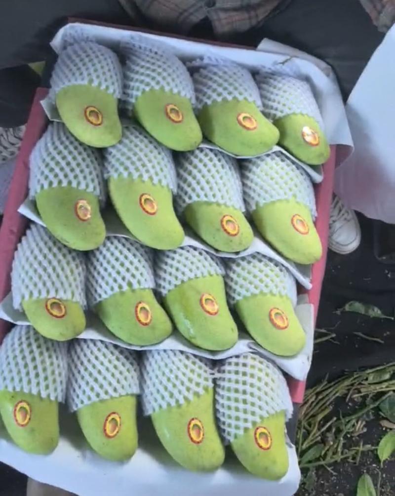 海南金煌芒/水仙芒、大量供应二级果