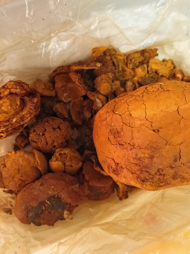 长期收购天然牛黄，私信