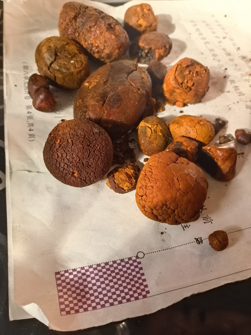 长期收购天然牛黄，私信