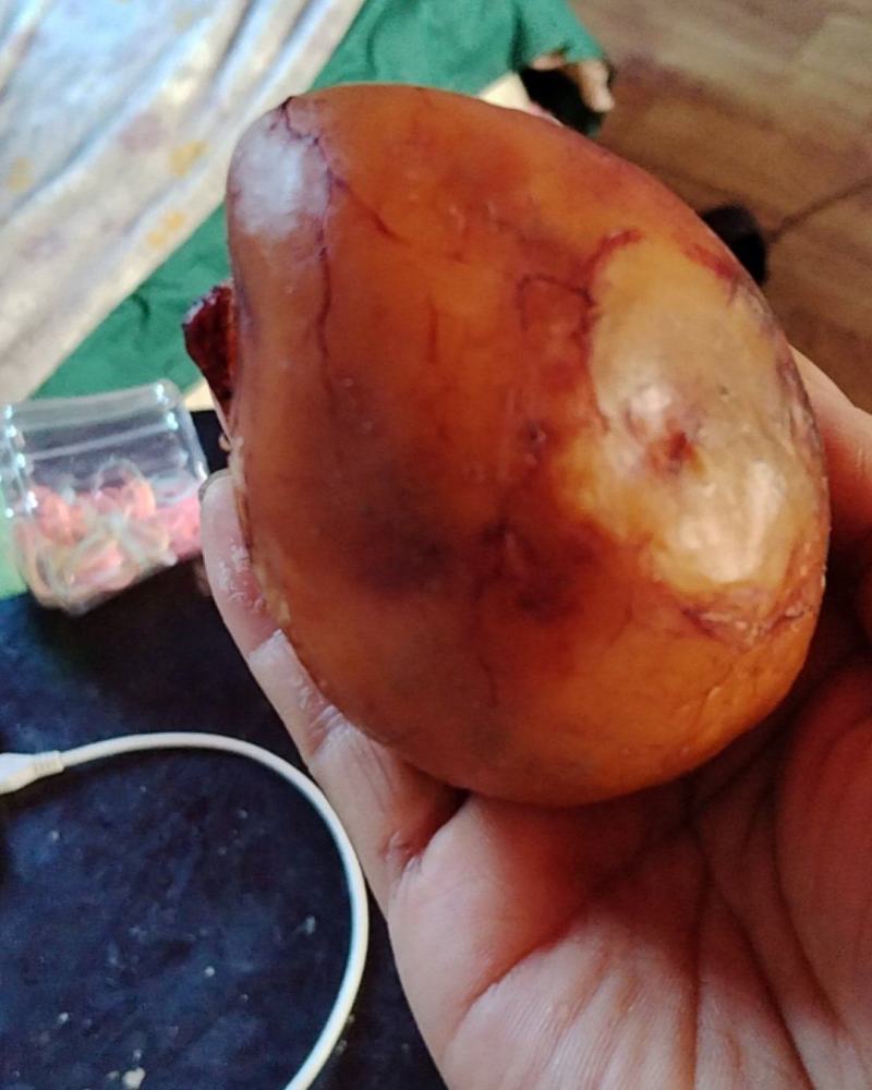 我要卖鸡宝
