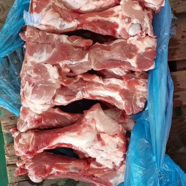 猪棒骨猪腿骨厂家直销量大从优