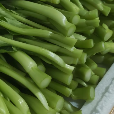 菜心