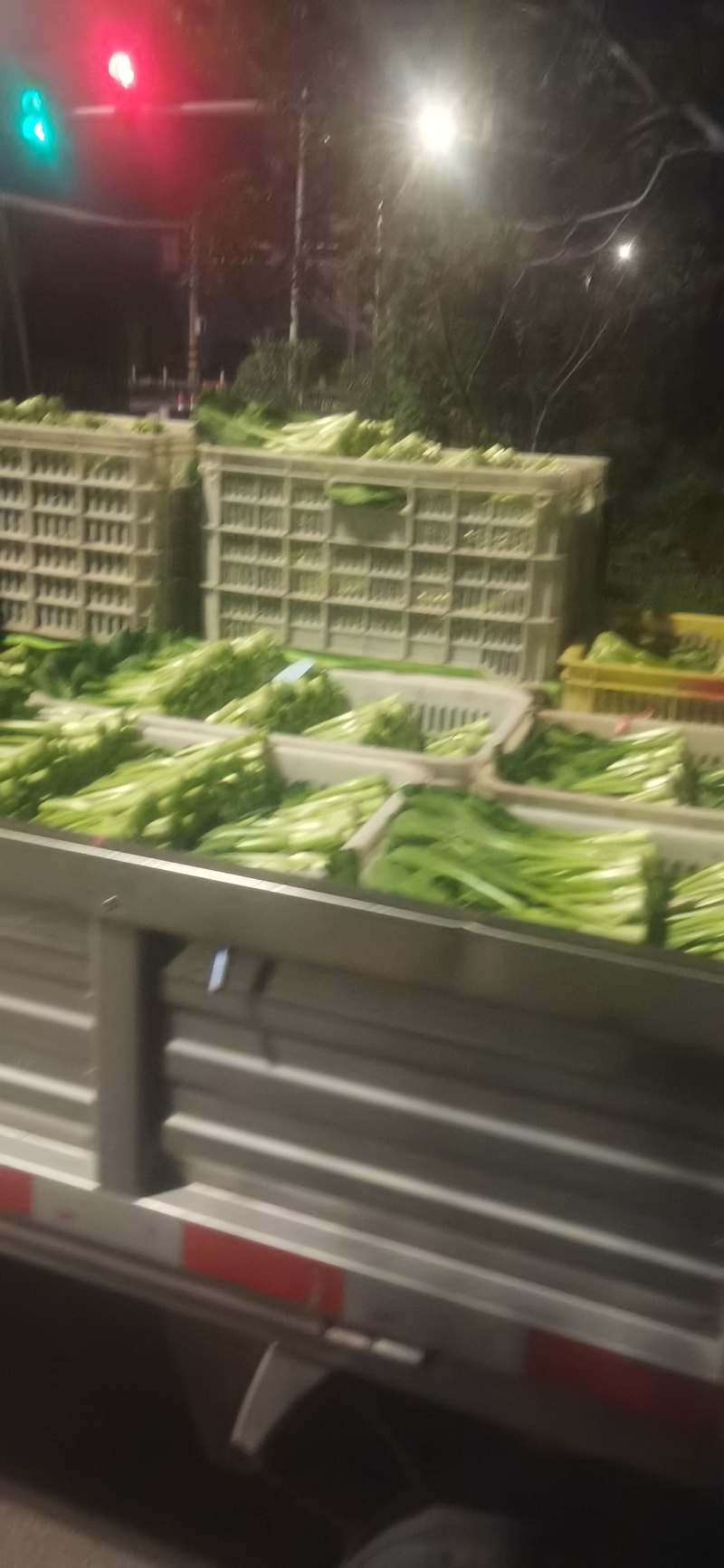 菜心