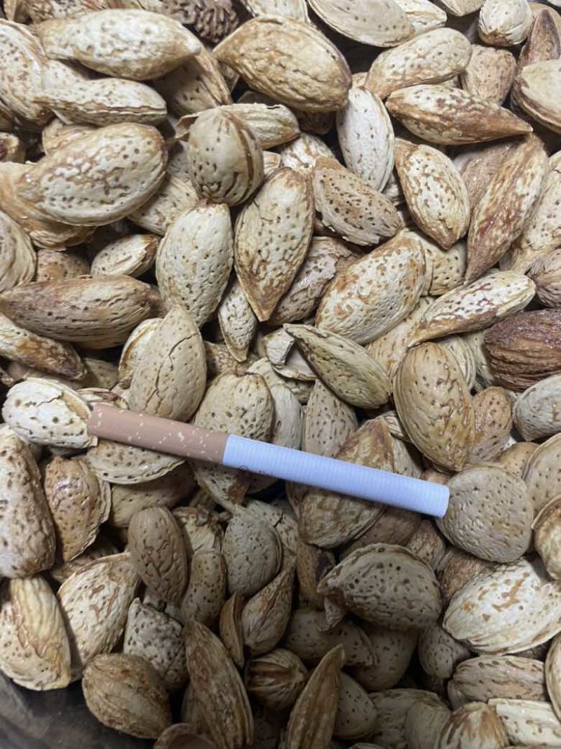 巴旦木电商大量现货