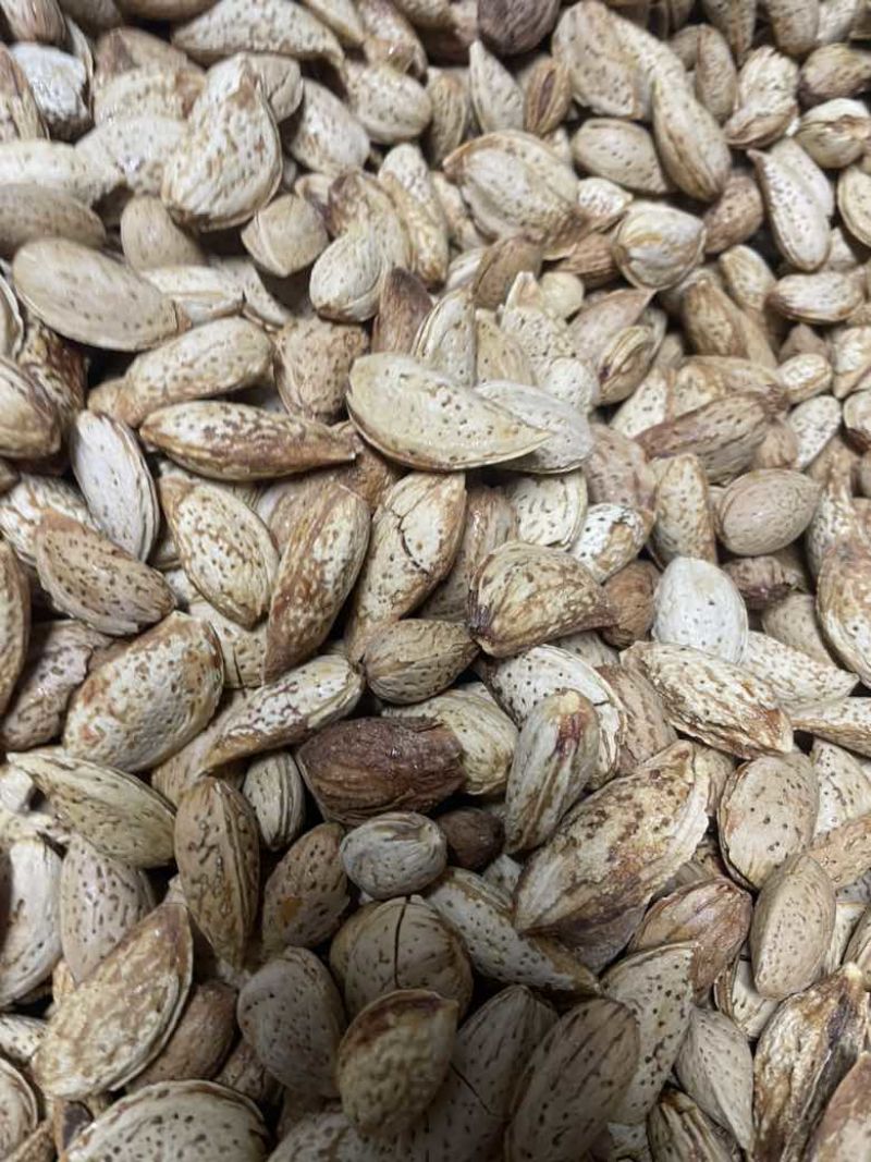 巴旦木电商大量现货