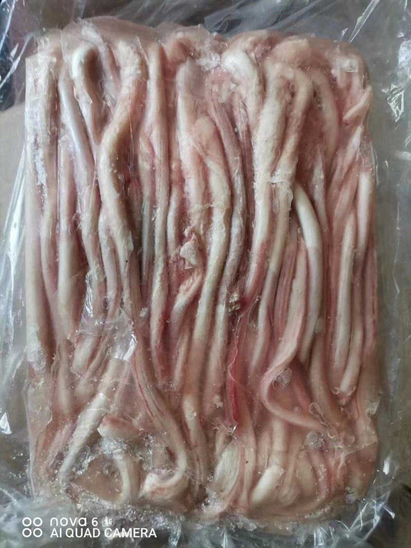 猪鞭300条，400条最新日期！现场实拍！【腾惠更多客户