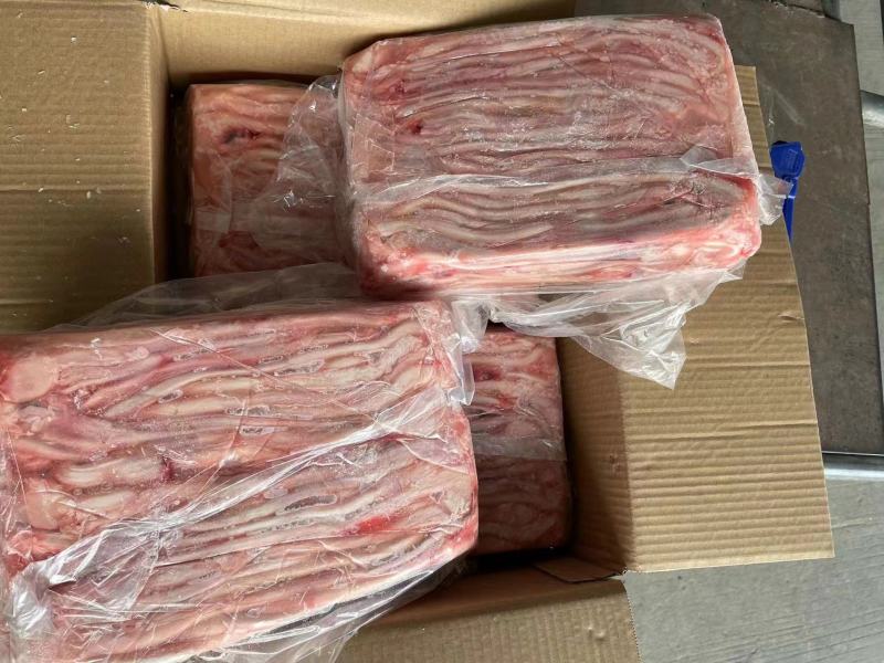 猪鞭300条，400条最新日期！现场实拍！【腾惠更多客户