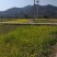 水田出租