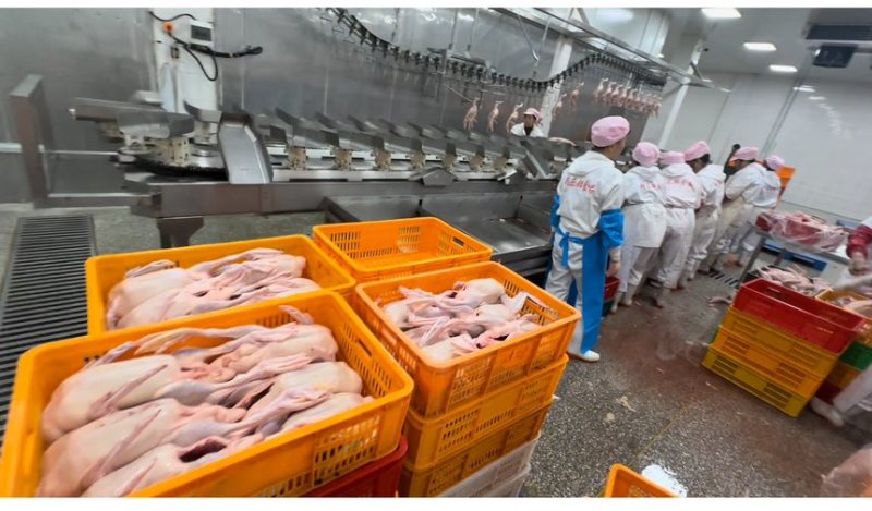 鸭肉鸭屠宰工厂，源头直供批发价。