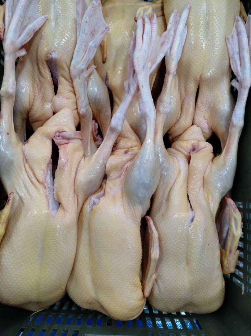 鸭肉鸭屠宰工厂，源头直供批发价。