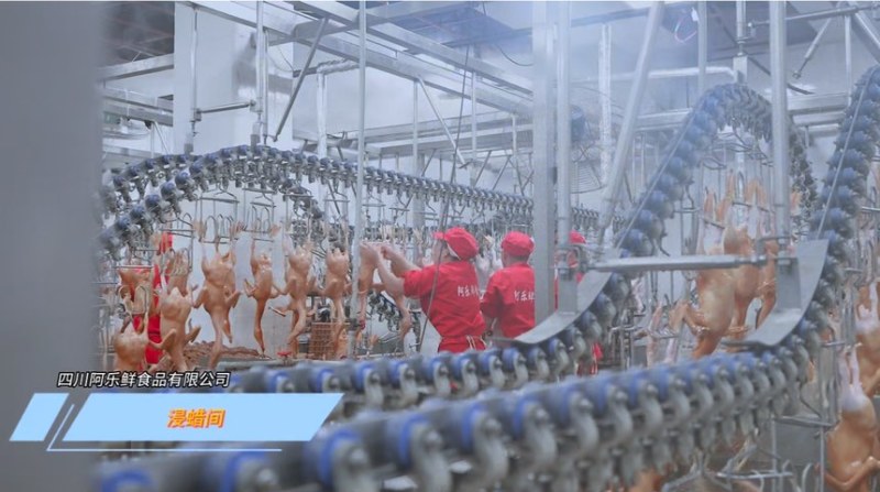 鸭肉鸭屠宰工厂，源头直供批发价。