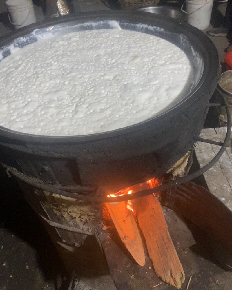正宗草锅豆腐