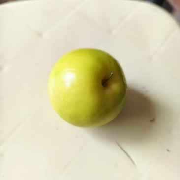 福建漳州贵妃青枣