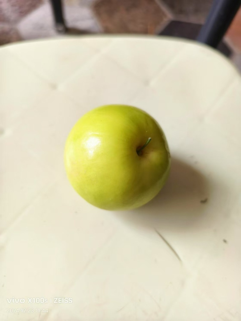 福建漳州贵妃青枣