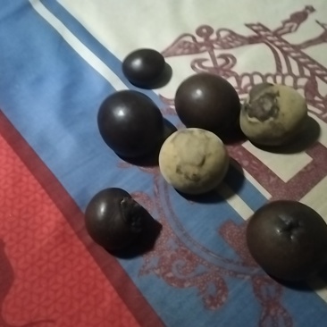 羊结石。羊宝***********