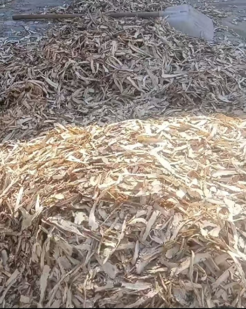 独活片
