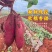 高山榴莲蜜薯